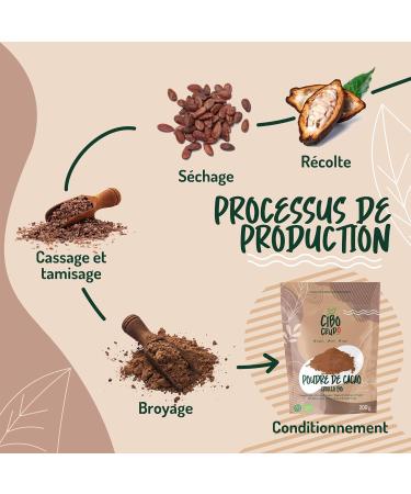 Organic Unsweetened Cocoa Powder - 200 gr. Raw Bitter Cocoa without Sugar from Organic Farming. Cocoa Powder from Criollo Raw - Buy Online on GoSupps.com