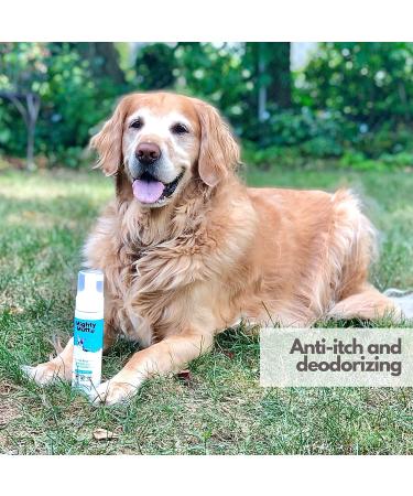 Mighty Mutt Hypoallergenic Waterless Shampoo for Dogs - Dry Foam Anti-Itch Relief | No Rinse Soothing & Deodorizing | Fresh Breeze 8oz - Buy Online on GoSupps.com