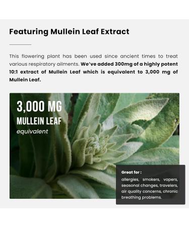 NutraChamps Liver Cleanse Capsules and Lung Cleanse Capsules 2 Pack Bundle - Buy Online on GoSupps.com