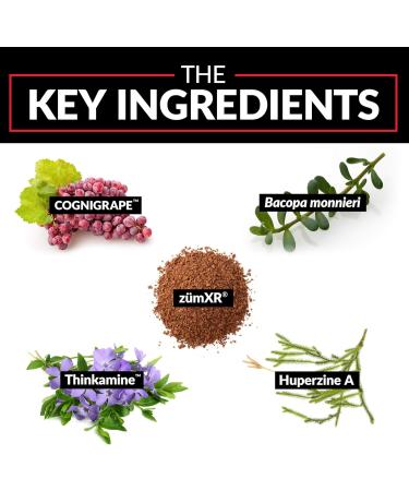 Force Factor Forebrain Nootropic Brain Supplement with Caffeine Bacopa and Huperzine A Capsules 3Pack, White, 90 Count - Buy Online on GoSupps.com