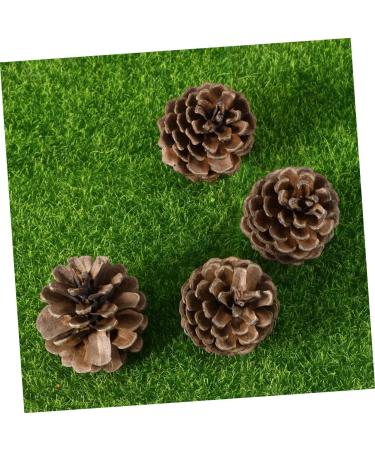 ABOOFAN 72 Pcs Xmas Pine Cone Ornaments Christmas Pine Cone Pine Cone Decorations Pine Needles Natural - Buy Online on GoSupps.com