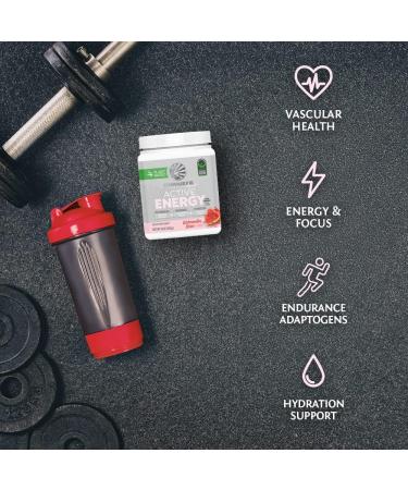 Sunwarrior Plant-Based Preworkout Powder - Hydration Blend with Coconut Water & Mushrooms | Sugar-Free Gluten-Free Dairy-Free | Watermelon Wave 30 Servings - Buy Online on GoSupps.com
