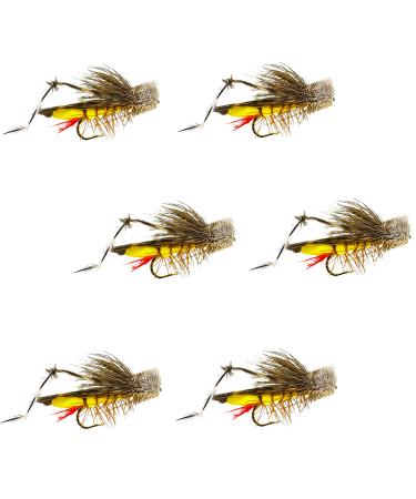 Dave's Hopper Dry Fly Fishing Set - 6 Pcs, Hook Size #10 - Topwater Terrestrial Grasshopper Flies for Bass, Panfish, Trout by Thor Outdoor