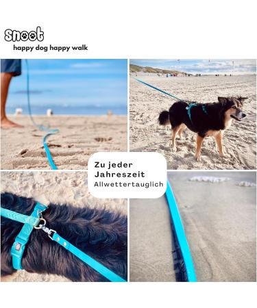 5m Strong Dog Towline Leash | Cyan-Blue | 2 Carabiners & D-Ring | Durable Water & Dirt Repellent - Buy Online on GoSupps.com