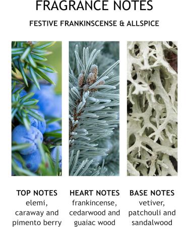 Molton Brown Festive Frankincense & Allspice Fine Liquid Hand Wash - Buy Online on GoSupps.com