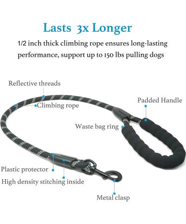 iYoShop Dual Dog Leash - 360 Swivel, No Tangle, Shock Absorbing Bungee - Medium/Large Black - Buy Online on GoSupps.com