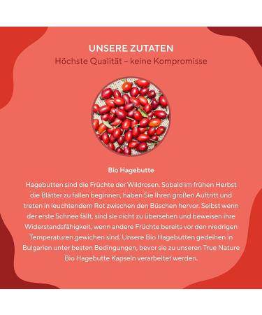 Organic Rose Hip Capsules 270 - High Dose Vegan EU Cultivated Pure & Fiber-Rich | True Nature - Laboratory Tested - Buy Online on GoSupps.com