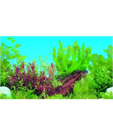 Hidom Aquarium Background Poster Double Sided - Height 24" / 60cm - Length 4 FT / 122cm - Two Scenic Pictures displaying Aquatic Backdrops - DS 600-9009/9021 - Buy Online on GoSupps.com