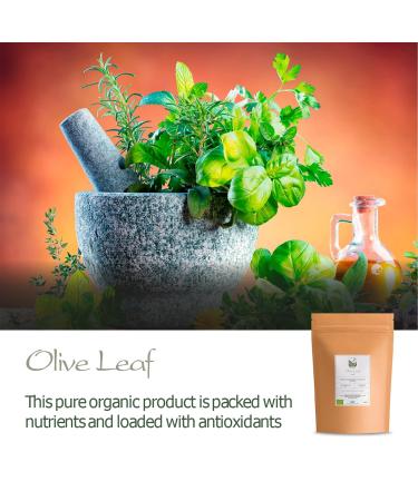 Organic Olive Leaf Tea - Premium Dried Olive Leaves - 100g - Rich in Antioxidants & Natural Wellness - Buy Online on GoSupps.com