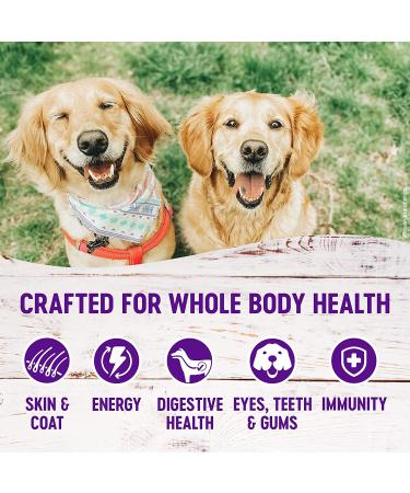 Wellness Complete Health Dry Dog Food - Grains, Real Meat | All Breeds, Adult Dogs - Whitefish & Sweet Potato, 15 lb - Buy Online on GoSupps.com