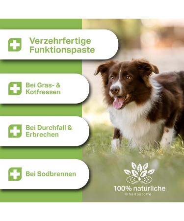 Medidog 500g Premium Ulmenrinden Paste for Dogs | All-Natural Digestive Support | Made in Germany | Quick Relief from Diarrhea & Heartburn - Buy Online on GoSupps.com