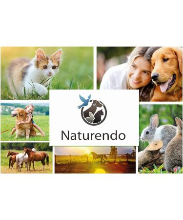 Worm Free Globules for Pets - Natural Worming Treatment for Dogs & Cats - 10g | International Shipping - Buy Online on GoSupps.com