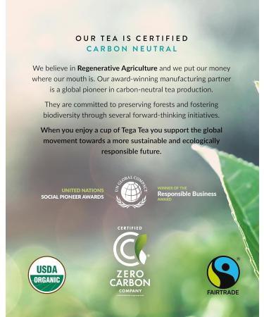 Tega Organic Earl Grey Rooibos Tea | Herbal Tea in Eco-Friendly Tea Bags Fairtrade Carbon Neutral Zero Sugar Caffeine Free 20 Individually Wrapped Tea Bags (Pack of 3) Earl Grey Rooibos Tea 20 Count (Pack of 3) - Buy Online on GoSupps.com