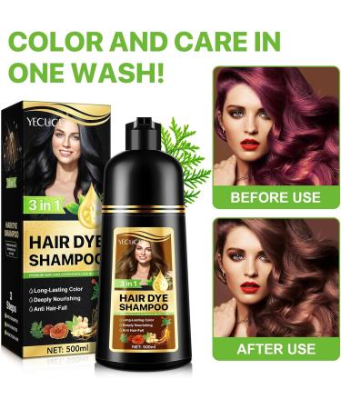 CCKULOOB Hair dye black hair color shampoo 3in1 hair color shampoo with herbal extracts natural coverage of gray hair Hair Color shampoo for dry hair long lasting 500 ml chestnut brown - Buy Online on GoSupps.com