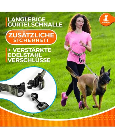 2-in-1 Jogging Line & Leash for Dogs | Dual Handle Dog Leash & Belly Belt for Large/Medium Breeds - Perfect for Walking Jogging & Hiking - Buy Online on GoSupps.com