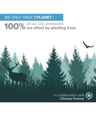 Premium Colloidal Silver 40ppm 300mL + Free Spray Bottle & Ebook - Laboratory Certified Liquid Silver 330ml - Buy Online on GoSupps.com