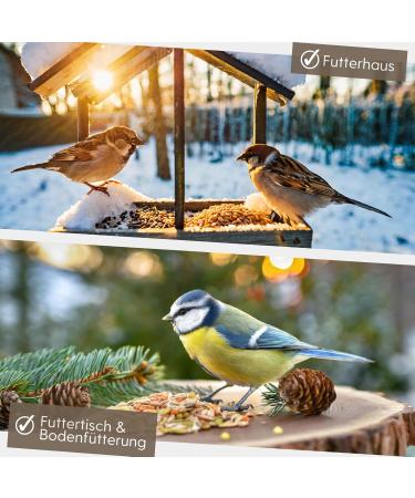 Fleim ller Wild Bird Feed 5kg | High-Quality Grain Mixture Dust-Free & Additive-Free for Year-Round Feeding - Buy Online on GoSupps.com