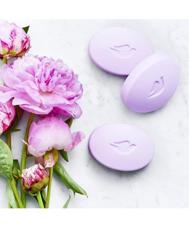 Dove Beauty Bar Peony, Gentle Skin Cleanser and Moisturizer, 3.75 oz (Pack of 2) - Buy Online on GoSupps.com