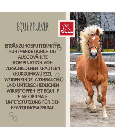 MSM Horse Willow Bark Horse Equi P Vitamin Paste Plus Glucosamine Chondroitin High Dose Horse Vitamin C Brewer's Yeast - Musculoskeletal System Joints Tendons Ligaments Cartilage 2pc - Buy Online on GoSupps.com