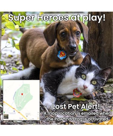 Pawfinda II AI Next Gen AI Digital Personalised Cat Dog Pet Engraved ID Tag with CONTACTLESS NFC and QR Code Technology Now with PawVoice AI. UK Developed Designed and Supported. Flash Paw - Buy Online on GoSupps.com