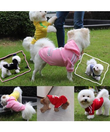 Fashion Dog Hoodie - Cotton Streetwear for Small & Medium Dogs | Lightweight Sweatshirt in Light Blue & Pink - Trendy Dog & Cat Outfit (XS) - Buy Online on GoSupps.com