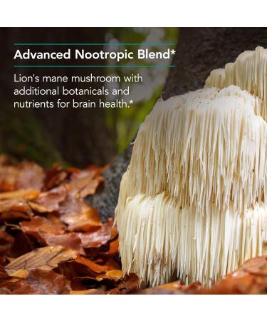 Buy Allergy Research Group CogniBrain Supplement - Memory & Focus Lion's Mane Vegetarian - 90 Capsules for Brain Health - Buy Online on GoSupps.com