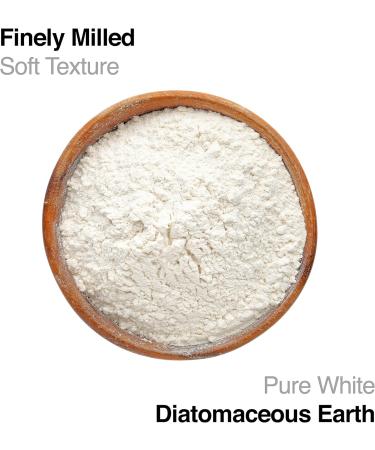 Diatomaceous Earth - Bag of 500 g - Buy Online on GoSupps.com