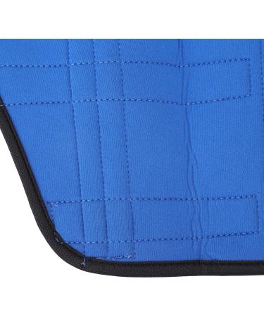 Dog Right Rear Leg Hock Brace - Neoprene Material Prevents Injuries Provides Stability with Support Strip Reflective Strip for Dogs (S) - Buy Online on GoSupps.com