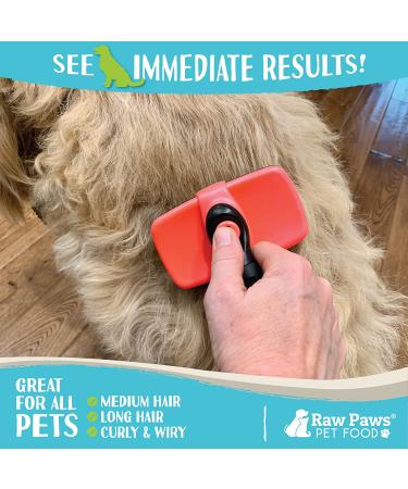 Raw Paws Self-Cleaning Slicker Brush for Dogs & Cats - Dematting & Deshedding Tool - Cat & Dog Shedding Brush - Buy Online on GoSupps.com