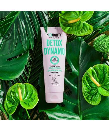 Noughty Detox Dynamo 2-in-1 Shampoo & Conditioner | 8.4 fl oz - Sulfate-Free Cleanse & Nourish - Buy Online on GoSupps.com