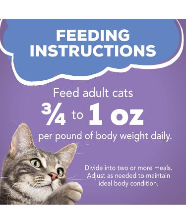 Purina Friskies Indoor Adult Wet Cat Food - 24-Pack Turkey & Cheese 5.5 oz Cans - Buy Online on GoSupps.com