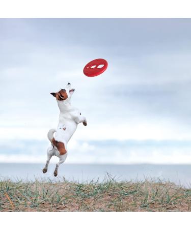 ROGZ RF01-C Red Flying Object Dog Throwing Disc Toy | Durable Frisbee for Dogs | Perfect for Outdoor Play - Buy Online on GoSupps.com