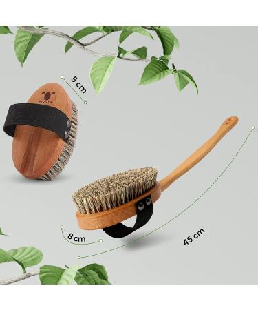 Quoala Sustainable Body Brush - Eco-Friendly Wood & Natural Pig Bristles for Wet & Dry Use | 100% German Made Back Brush - Buy Online on GoSupps.com