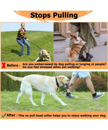 XL Slate Gray No Pull Dog Collar | Soft Upholstery Durable Design & Free Training Instructions - Perfect Control for Heavy Pulling Dogs - Buy Online on GoSupps.com