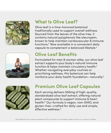 Vital Peak Olive Leaf Peak 500 mg - Immune System Support Cardiovascular Health Support & Joint Comfort Support - Olive Leaf Extract Capsules - Natural Supplement - Vegan Non-GMO - 30 Capsules - Buy Online on GoSupps.com