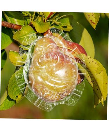SEWOART Vegetable Shaped Fruitful Vegetable Shaping Transparent Shaping Shaper Melon Cucumber - Buy Online on GoSupps.com