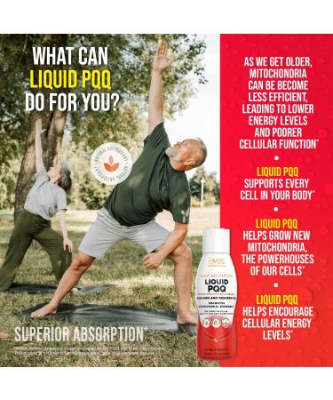 Buy 17oz Liquid PQQ 80mg - Highly Absorbable Pyrroloquinoline Quinone for Energy Antioxidants & Heart Health | 24 Servings - Buy Online on GoSupps.com