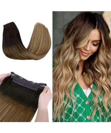 HOTBANANA Wire Hair Extensions, 14 inch 75g Ombre Brown to Dirty Blonde Fish Line Hair Extensions Real Human Hair Straight Invisible Wire Hair Extensions Remy Hair Extensions 14 Inch Balayage Ombre Brown to Dirty Blonde#2/…