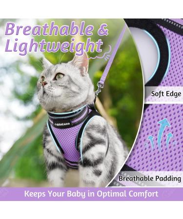 Rabbitgoo Cat Dishes Set - Stylish Cat Linen with Leash | Perfect for Cats | International Shipping - Buy Online on GoSupps.com