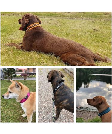 PETTOM Adjustable Nylon Dog Collar Breathable Reflective Design for Comfort & Safety | Size M (Orange) - Ideal for International Shipping - Buy Online on GoSupps.com