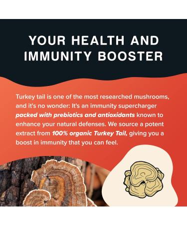 Organic Turkey Tail Mushroom Extract Powder - Immunity Boosting Supplement with Prebiotics & Antioxidants - Vegan, 75 Servings - Buy Online on GoSupps.com