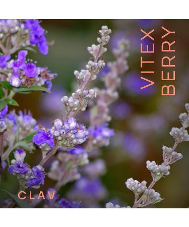 Vitex Berry 4:1 Extract - PMS & Menopause Supplement for Women - Hormone Balance - 180 Capsules - Made in Germany - Buy Online on GoSupps.com