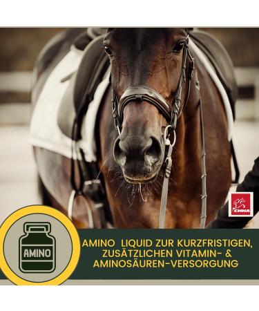 Amino Liquid I Amino Acids Vitamin B Complex I Dietary Supplement Vitamin B12 I Zinc Horse I Muscle Building Horse Muscle Building I Regeneration Muscles for Horses 1L - Buy Online on GoSupps.com