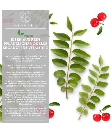 Qidosha Vegetable Iron Plus Vitamin C Capsules | 120 Vegan Capsules with Curry Blade Extract & Acerola Fruit Powder | Purely Plant-Based Iron Supplement - Buy Online on GoSupps.com