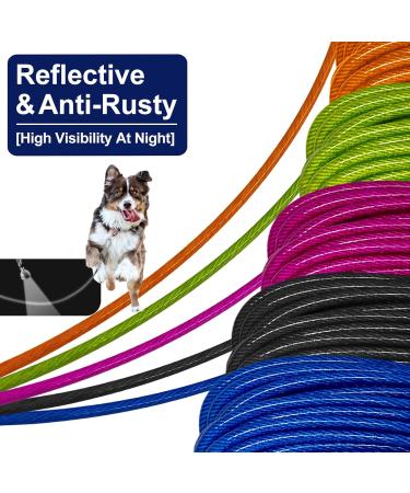 Buy Robust 6.1m Blue Dog Leash - Durable Steel Belt for Outdoor Use Perfect for Parks & Camping | International Shipping Available - Buy Online on GoSupps.com