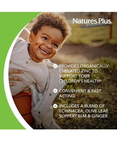 NaturesPlus Animal Parade KidZinc Tangerine Flavor - 90 Animal-Shaped Lozenges - Organically Chelated Zinc - Vegan Gluten Free - 90 Servings - Buy Online on GoSupps.com