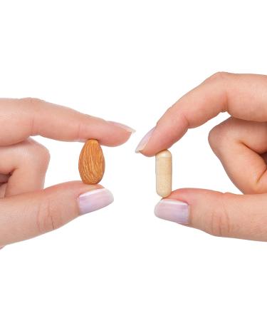Seeking Health B Complex Plus | 100 Vegetarian Capsules | Easy-to-Swallow Vitamin B Complex - Buy Online on GoSupps.com