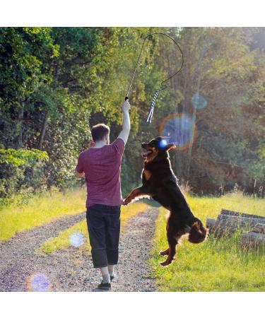 Buy PopetPop Interactive Dog Toys - Outdoor Training Fishing Pole Teaser for Large Dogs - Buy Online on GoSupps.com