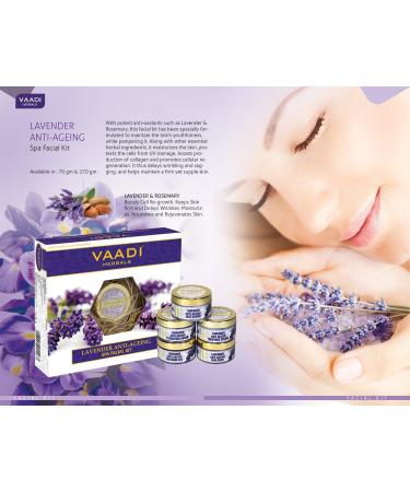 Fresh Fruit Massage Cream with Apple Papaya & Kokum Butter - All Natural - Herbal Cream - Vaadi Herbals (Pack of 1 X 500 Gm) (17.64 Oz) 1 Count (Pack of 1) - Buy Online on GoSupps.com