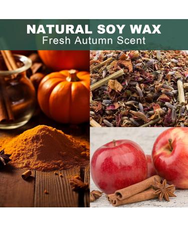 Pumpkin Shaped Candle | Fall Scents & Thanksgiving Decor | Green Wax Pumpkin Spice Candle for Autumn & Halloween - Buy Online on GoSupps.com